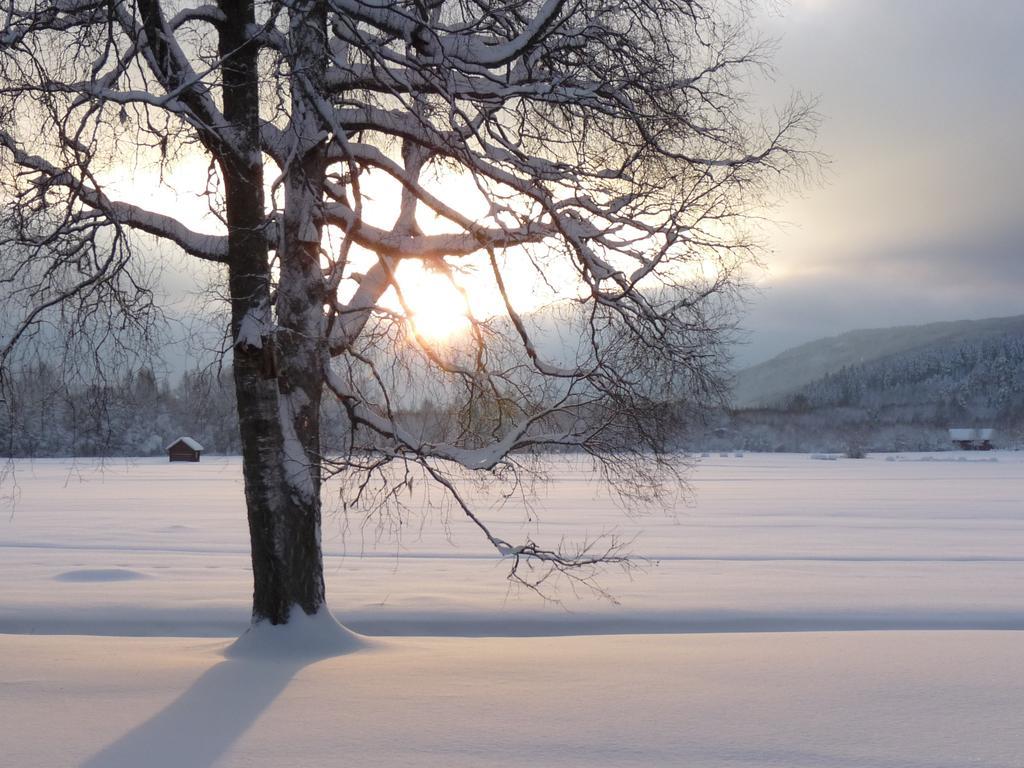 Rosa Huset Osebol Apartment Stollet ภายนอก รูปภาพ